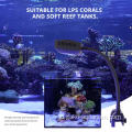 pencahayaan LED akuarium terbaik untuk karang
